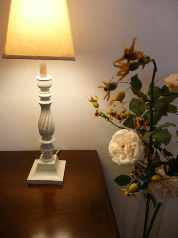 Certe Notti Bed & Breakfast ปิซา ภายนอก รูปภาพ