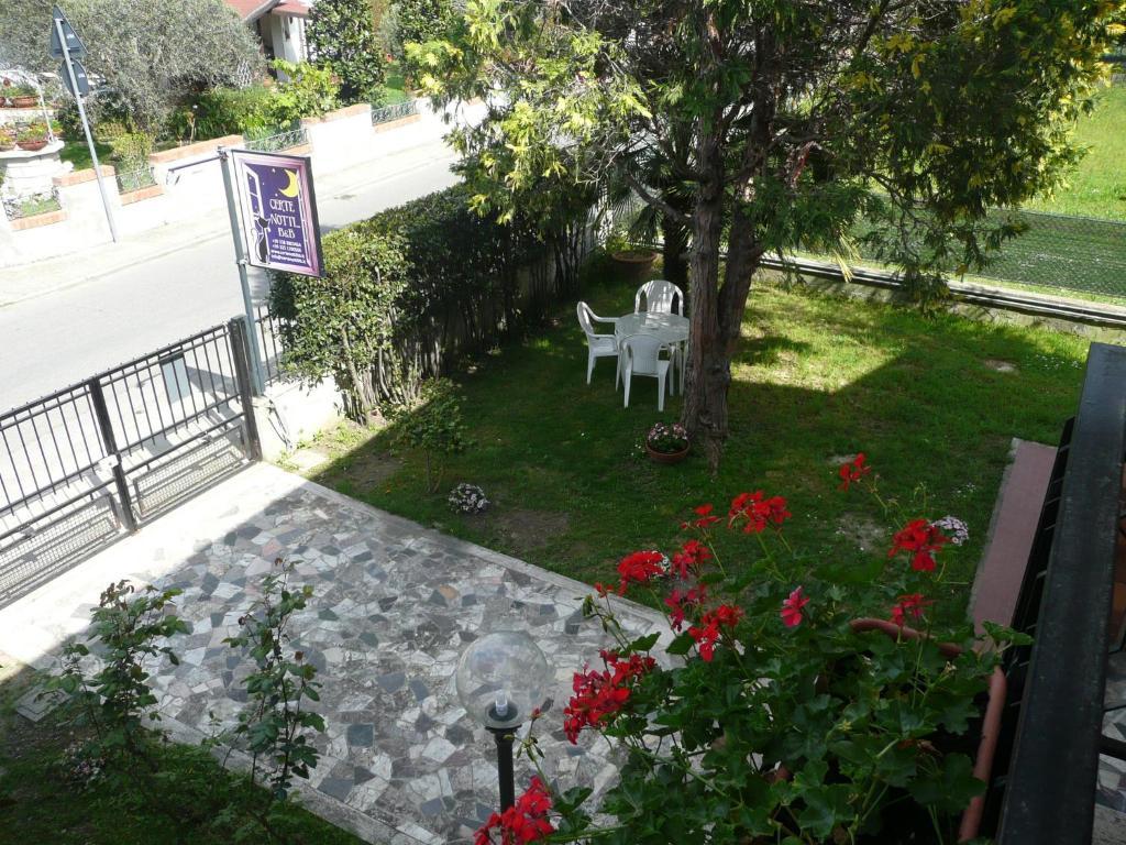 Certe Notti Bed & Breakfast ปิซา ภายนอก รูปภาพ